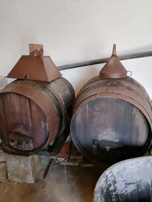 Esmagador desengacador de uva