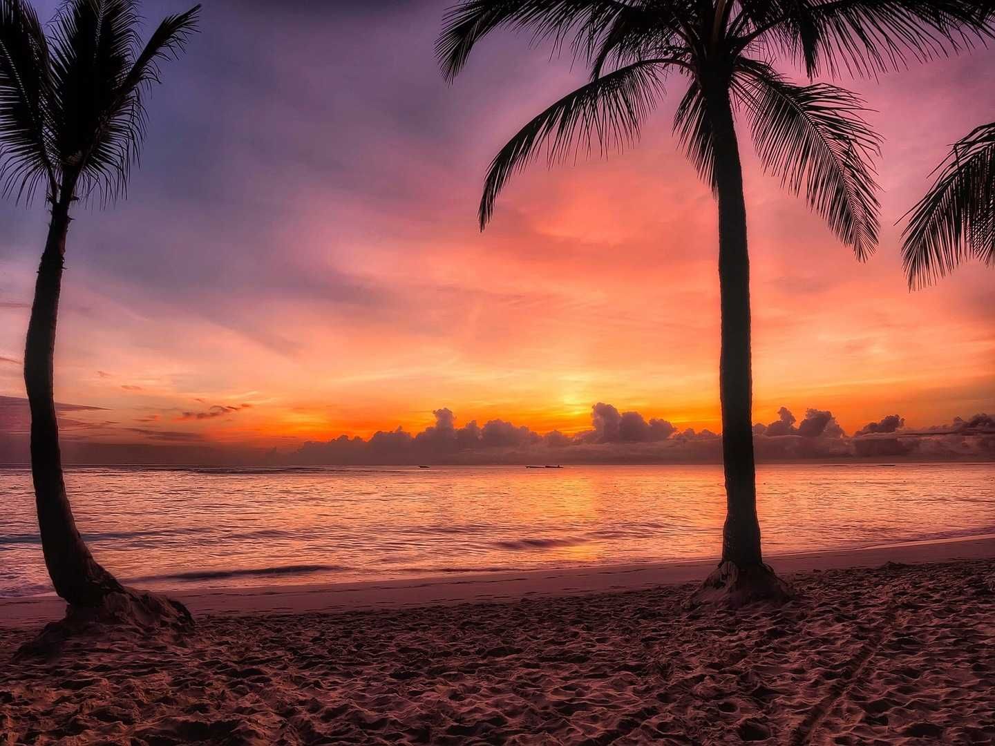 Świeca KOKOS sojowa 120 ml Poczuj plażę SPRAWDŹ!