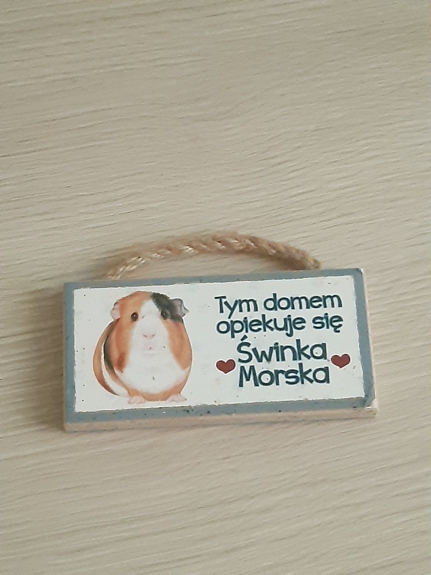 Magnesy ozdoby i inne