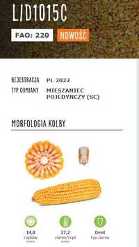Nasiona Kukurydzy kukurydza LID 1015C 220 wysyłka 24h