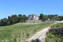Quinta da Cerqueda, Santo Tirso