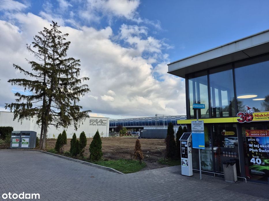 Do wynajęcia działka przy Biedronce pod sprzedaż choinek