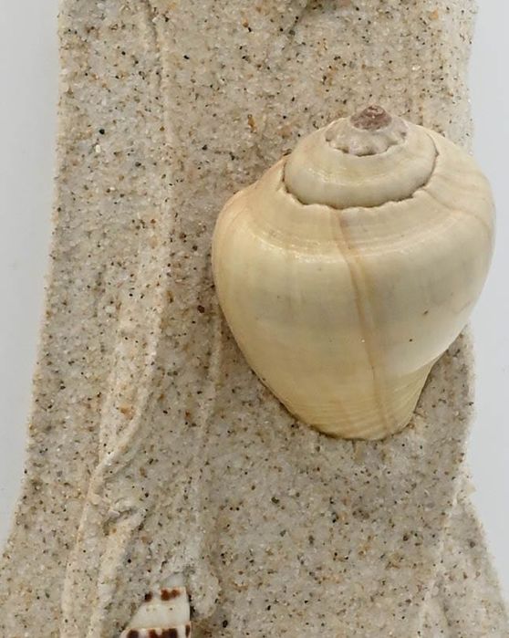 Jarra decorativa Mar Praia
