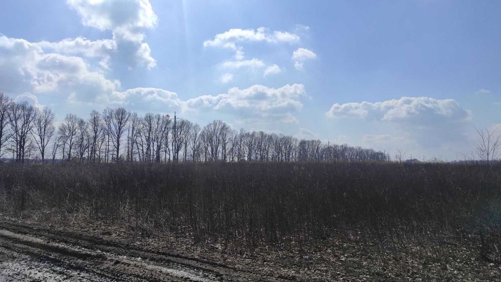 Продам ділянку в Агрономічному 3030