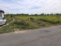 Продаж ділянки 6,3 сот. аеропорт, вул.Смоківська (26144902)