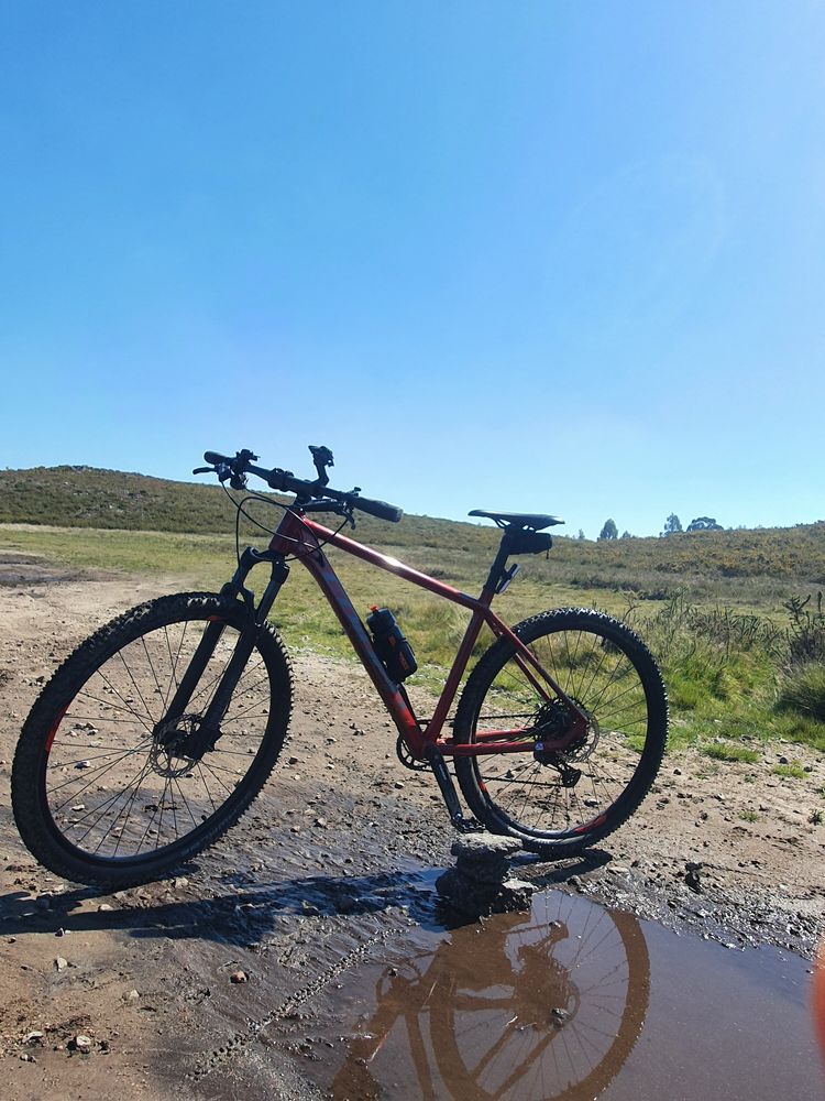 Bicicleta Coluer Pragma 298