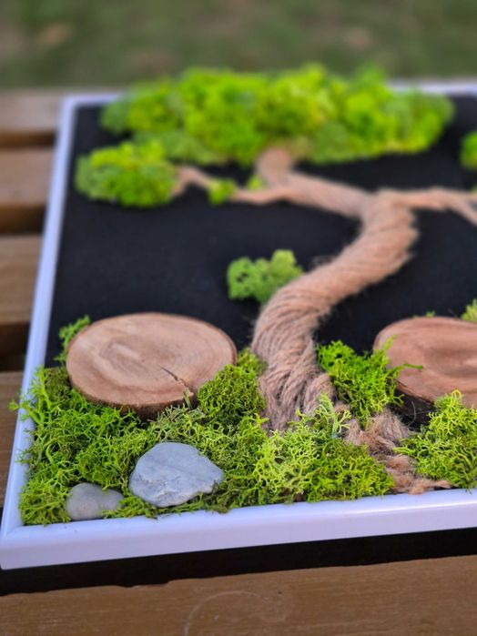 Obraz Kompozycja Mech Dekoracja Długowieczne Dom Prezent