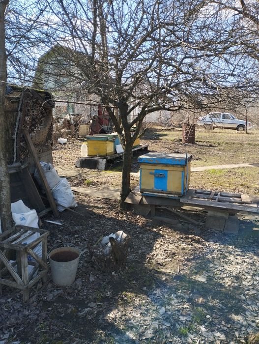 Улья, медогонка, рамки