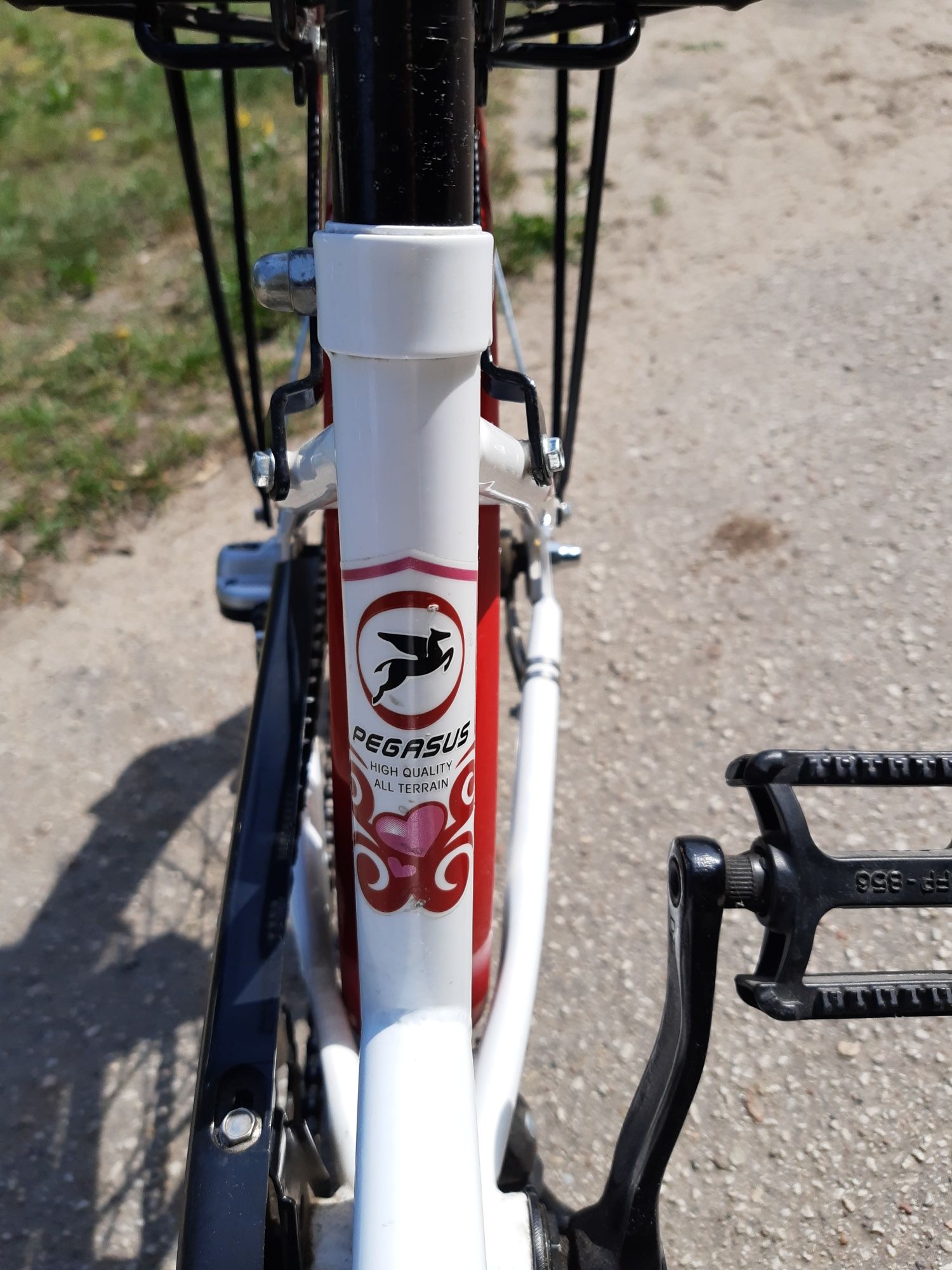 Pegasus Arcona 20" rowerek dziecięcy