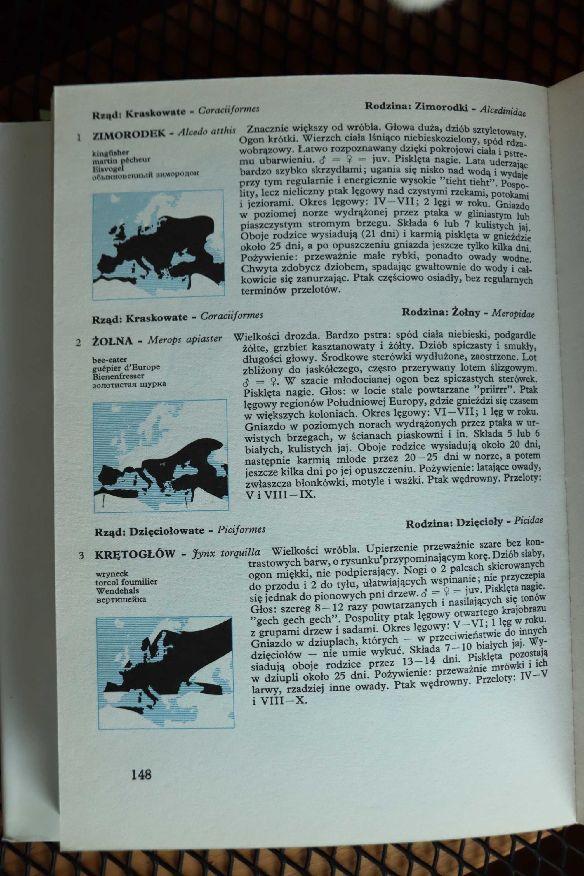 Jaki to ptak atlas książka przyroda D.Aichele, W.Cerny
