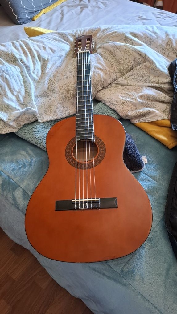 Viola stagg c542