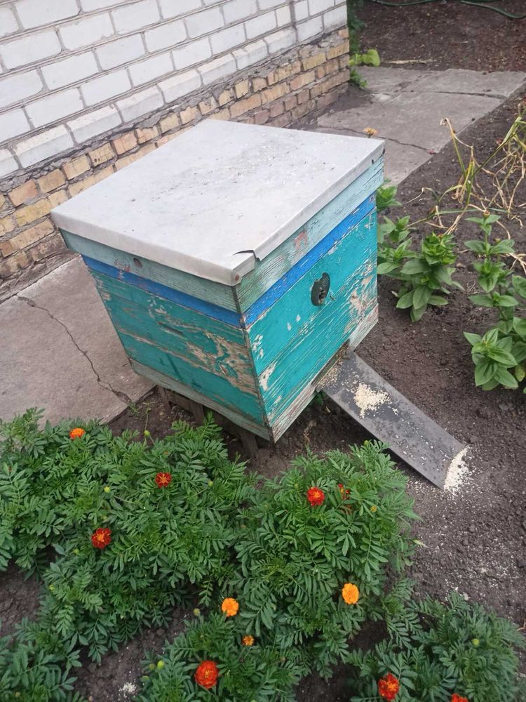 Улья дадан 12 рамочные