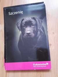 szczenię szczeniak pies poradnik wychowanie opieka eukanuba