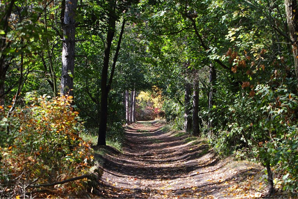 Сосновый Берег, дом 470м с видом на море, ул.Лазурная