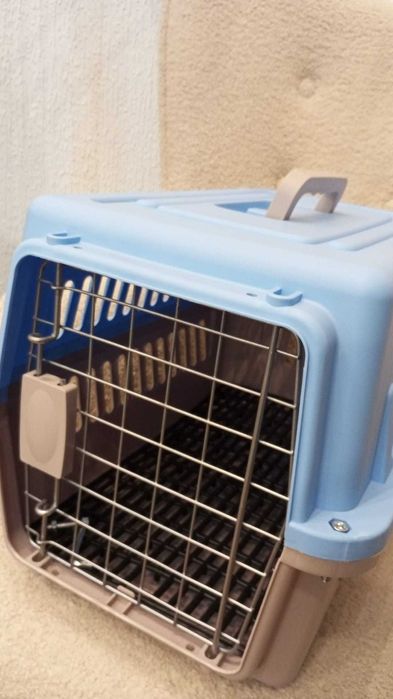 Box transporte de animais Azul