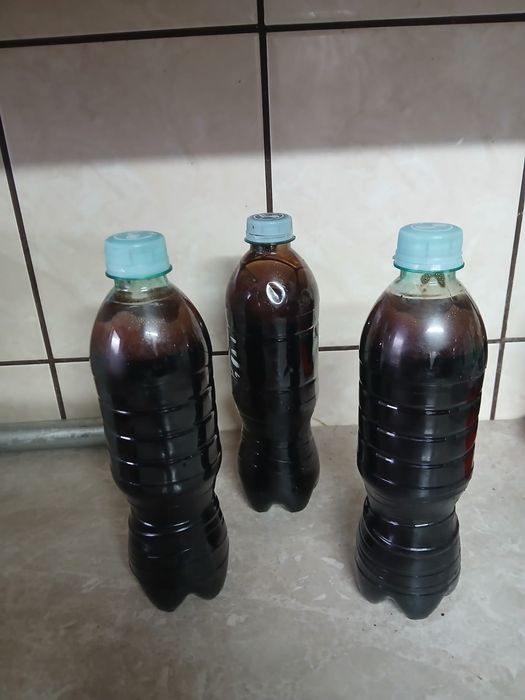 Krew z gęsiny świeża