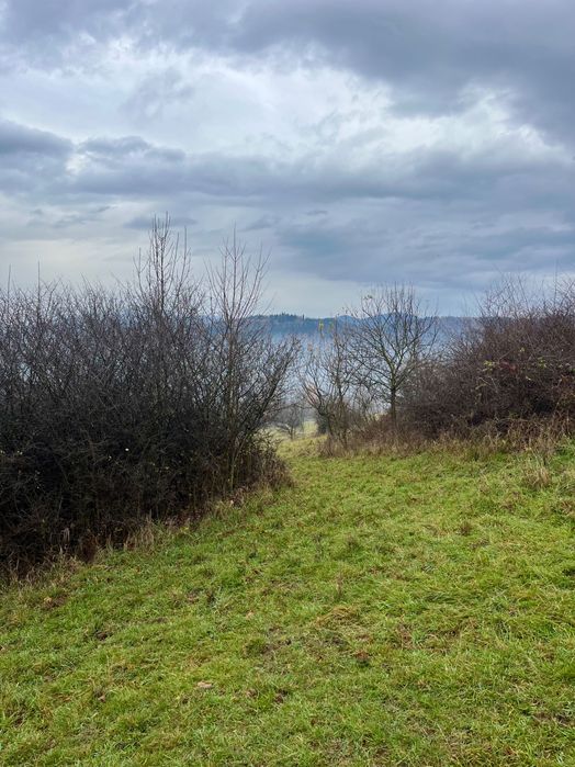 Działka budowlana w Beskidzie Żywieckim. Cisza, spokój i natura.