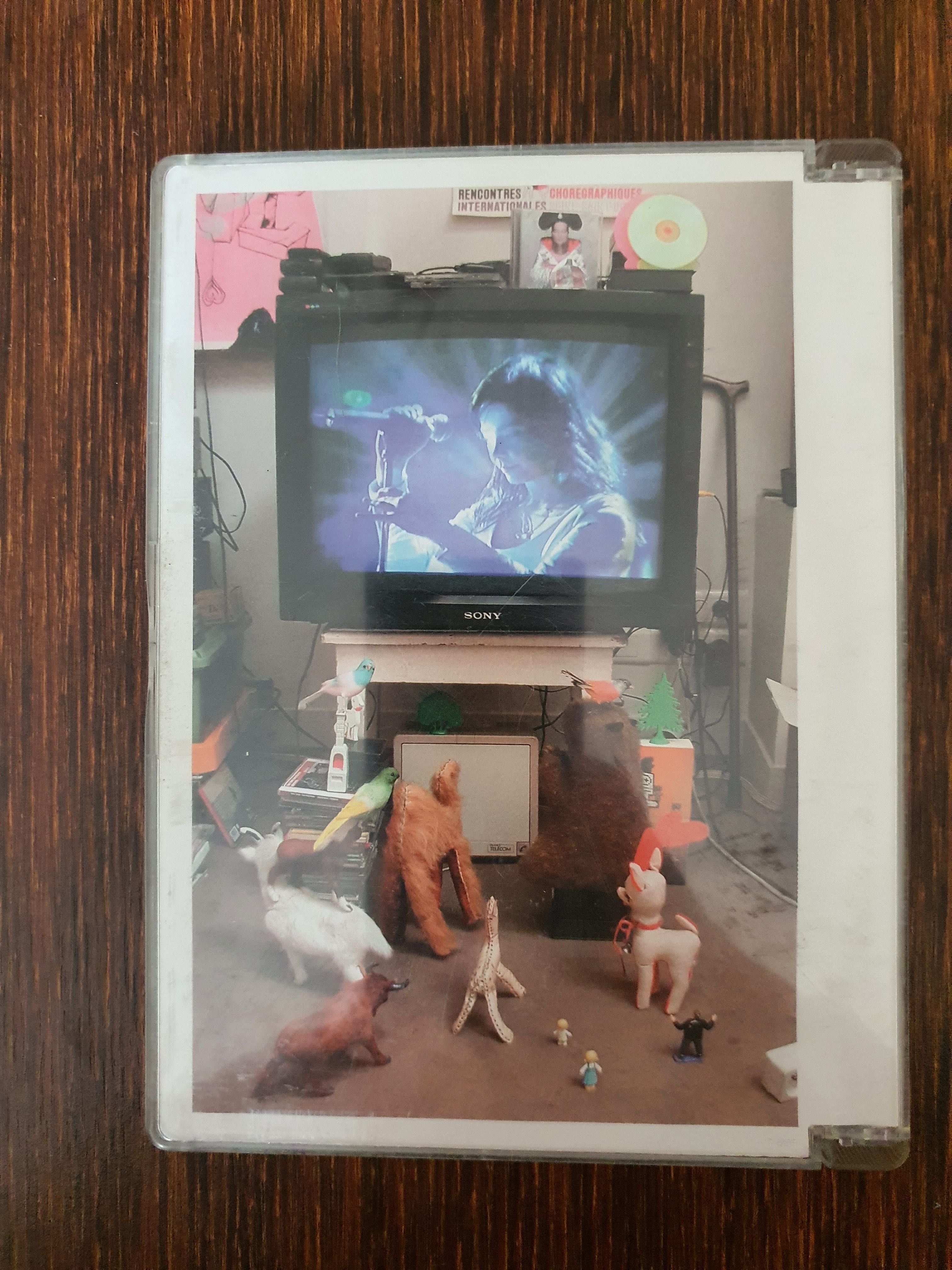 Bjork: Live In Cambridge  DVD