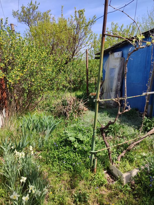 Дача в Червоноднепровке