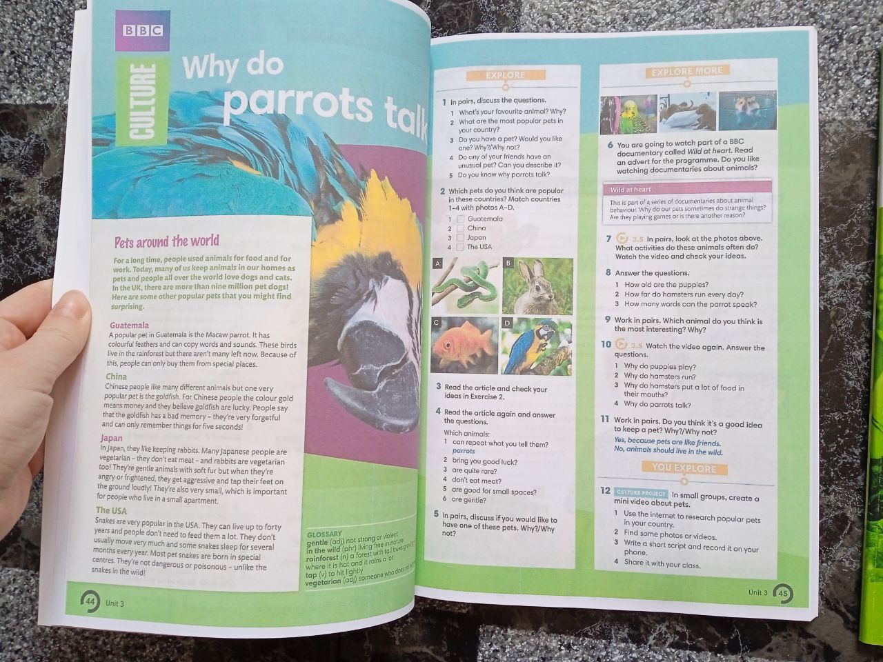 Wider world 2 students book+workbook