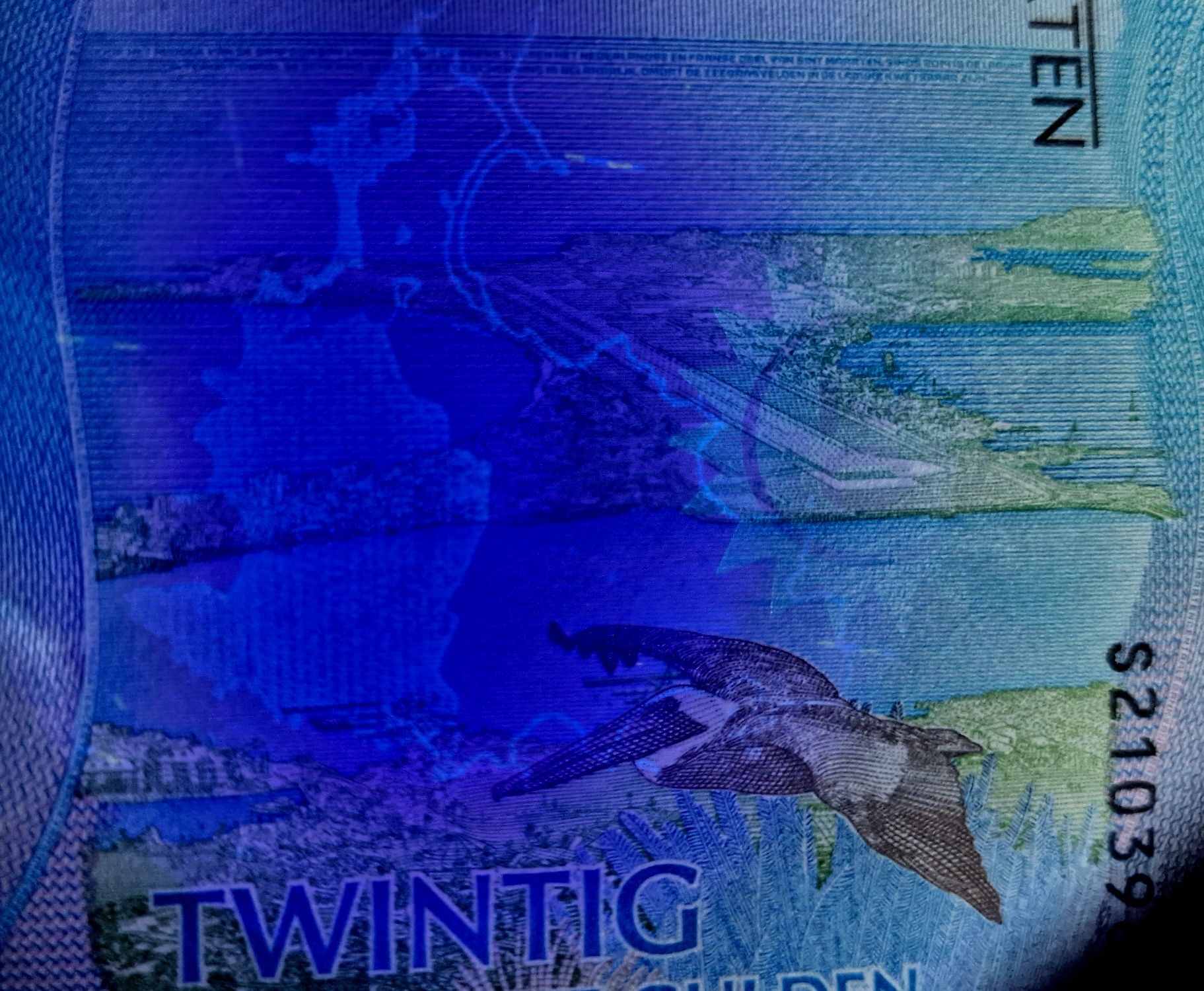Banknot Banknoty CURACAO 20 gulden UNC