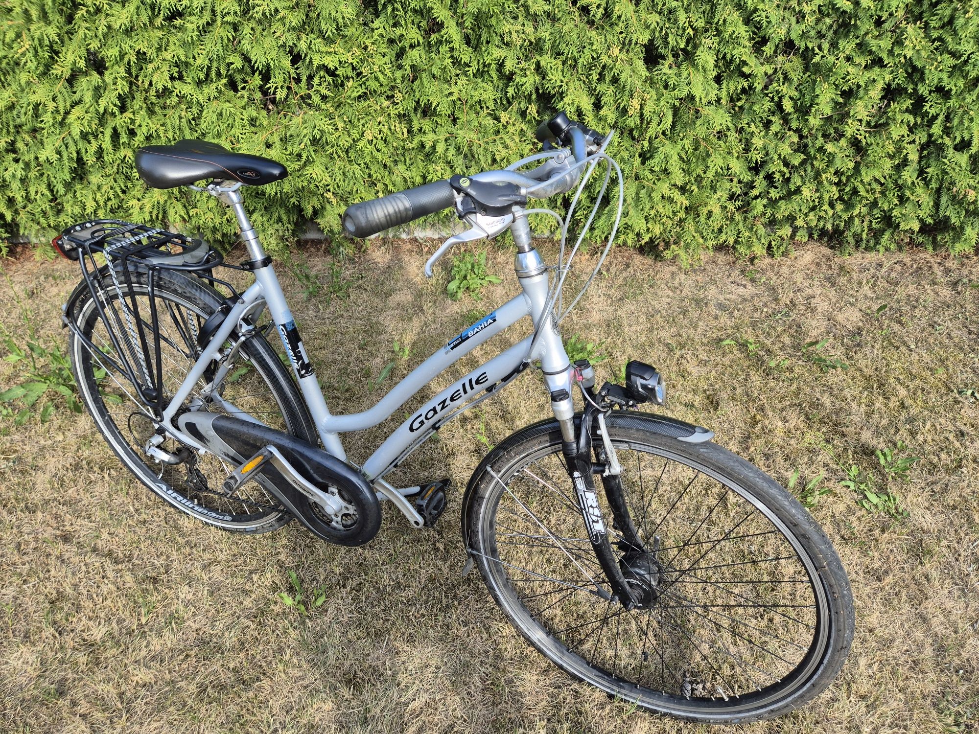 Gazelle Bahia Rama 53