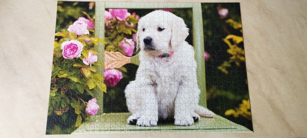 Puzzle 2w1 Trefl 1000 + 500 elementów Psy Szczeniaki Nowe kompletne
