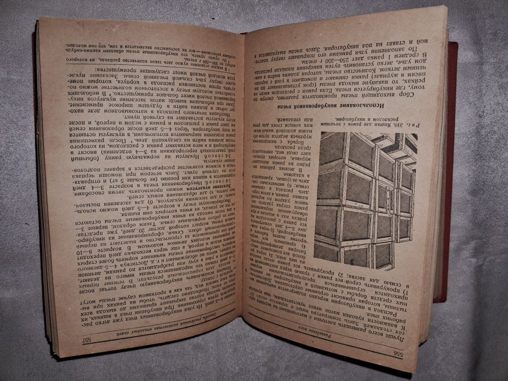 П. Комаров А.Губин Пчеловодство