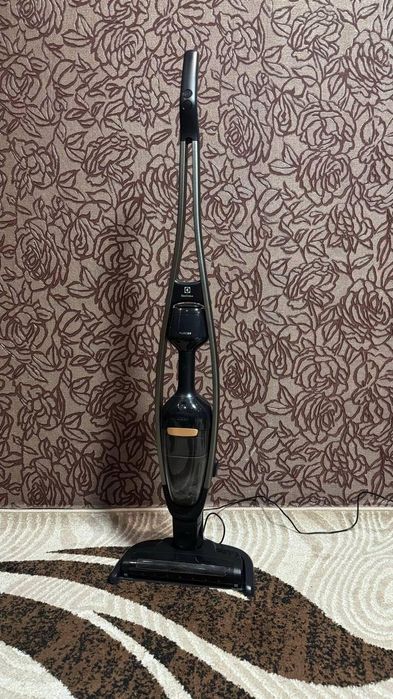 Вертикальний пилосос Electrolux Pure Q9