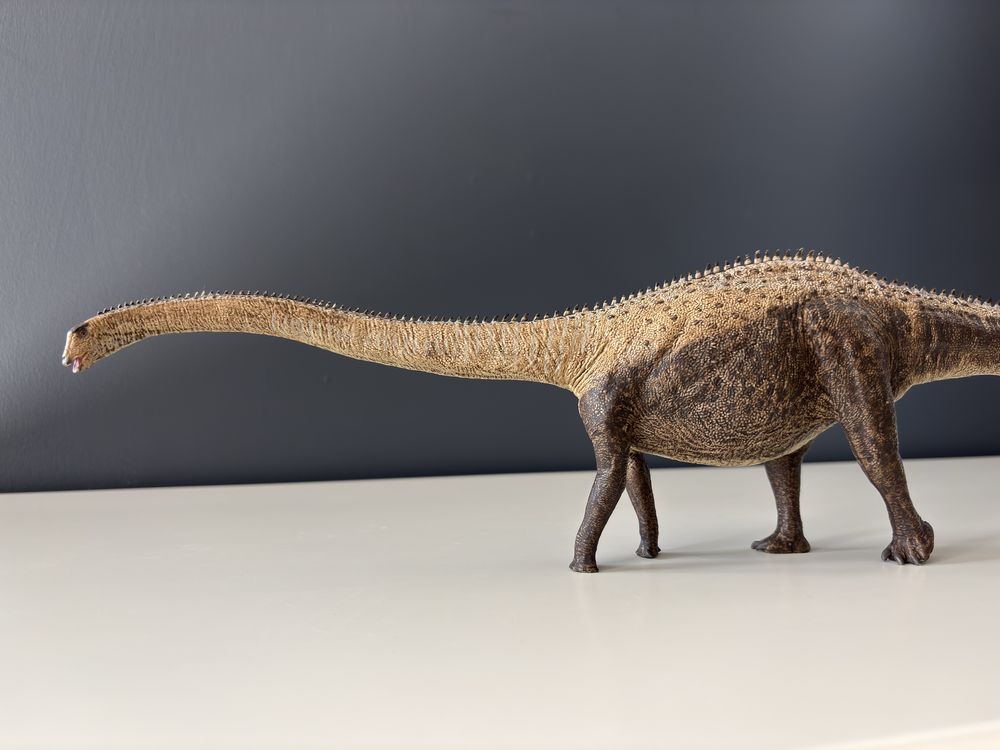 Diplodocus (diplodok) - Eofauna