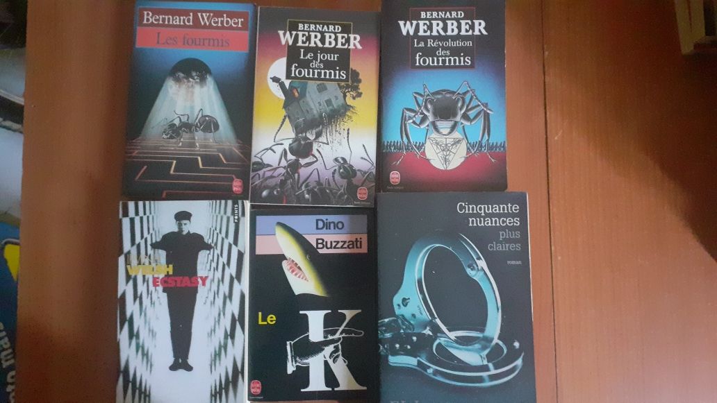 Literatura diversa em francês