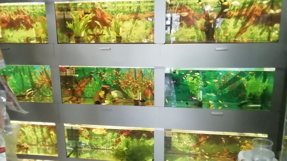 Akwarium proste 40x25x30 -30 litrów