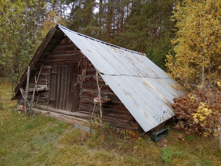Działka z domkiem w otoczeniu przyrody