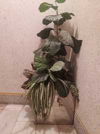 Planta artificial com vaso prateado