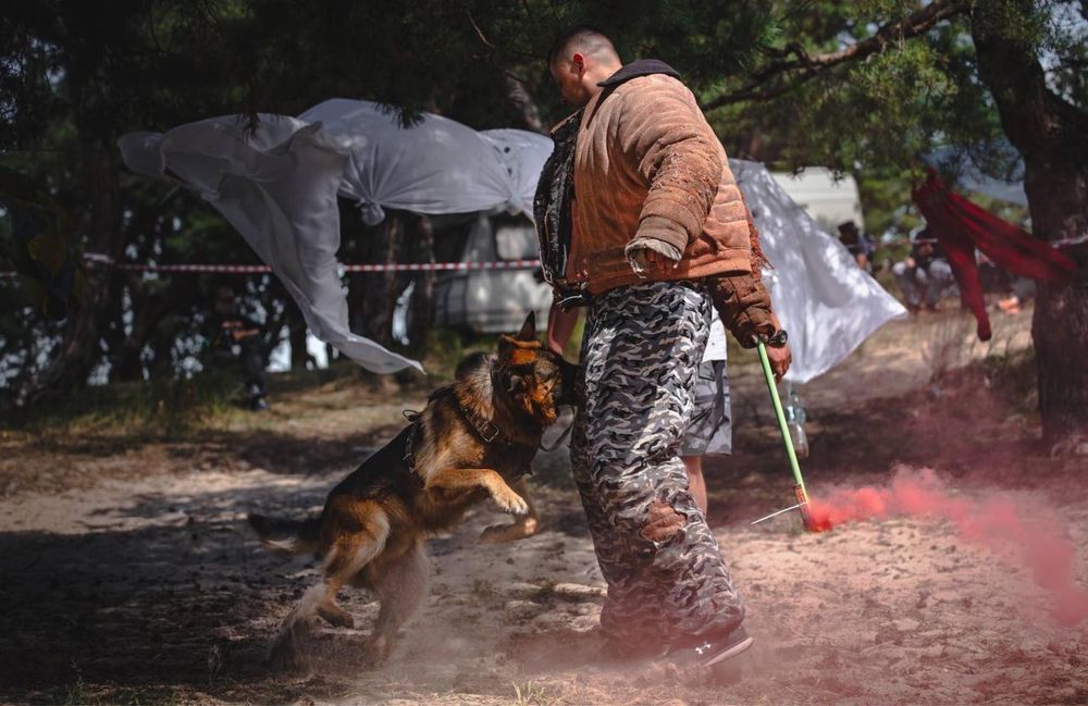 Кінолог/дресирування собак