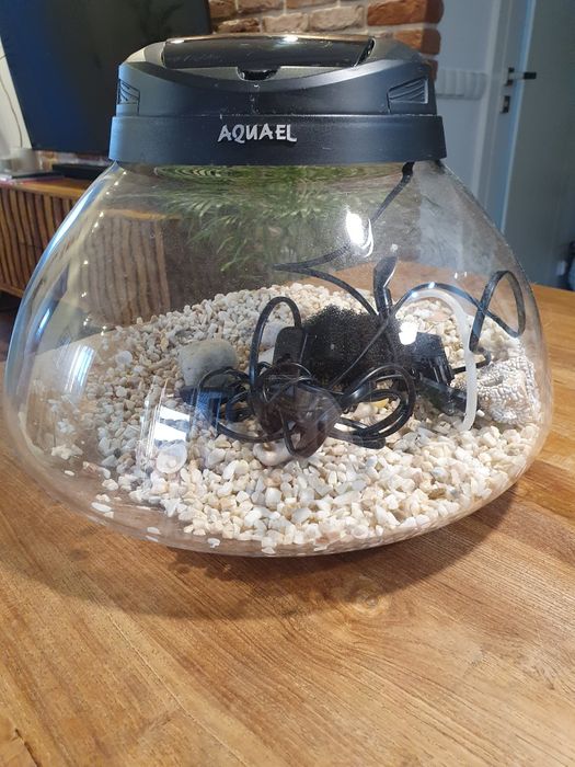 Akwarium terrarium z filtrem 17 l.