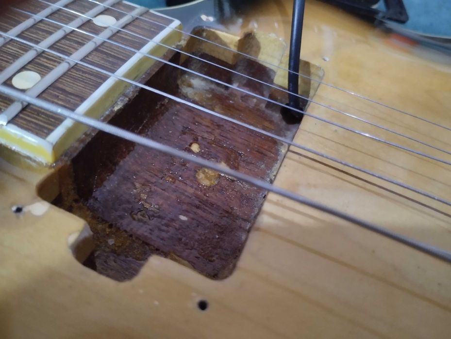 Nick Igor основатель фирмы Avaks guitar