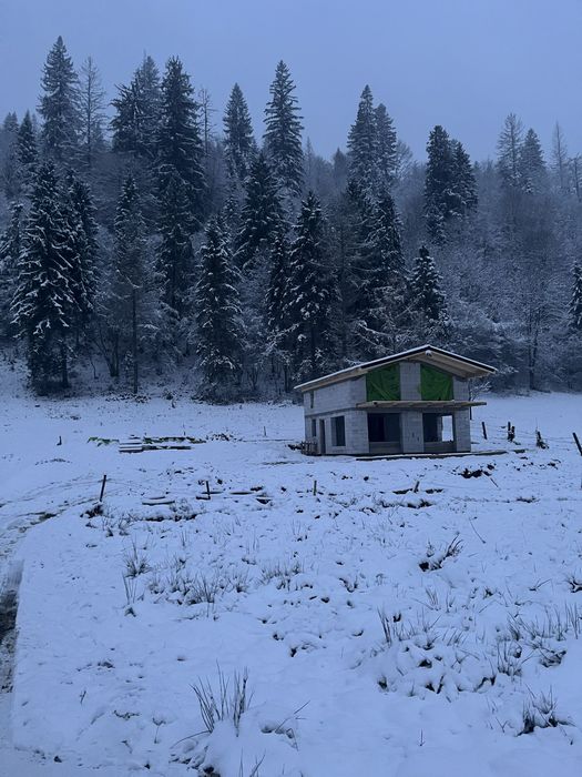 Котедж в Карпатах!