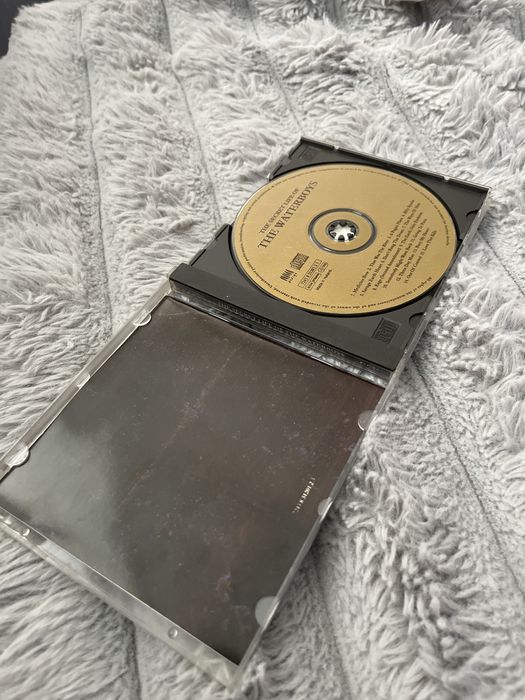 The Waterboys – The Secret Life of The Waterboys 81–85 (1994)