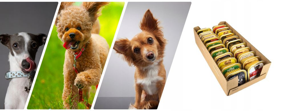 Karma Mokra dla Psa Mix Smaków 66x150g Dla Małych Ras