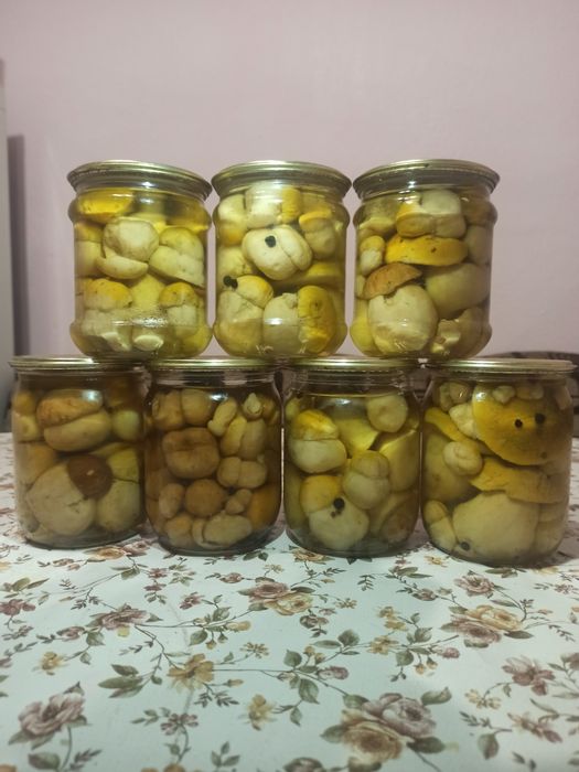 Гриби білі сушені ,мариновані,свіжі