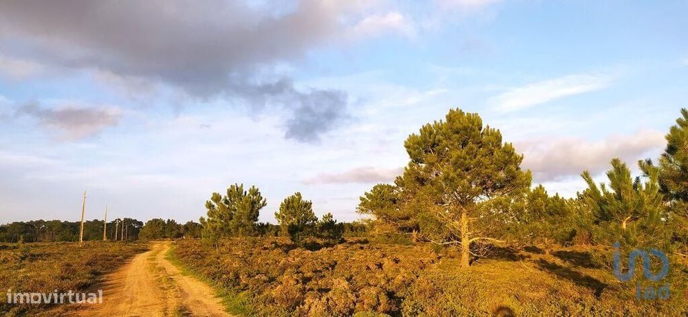 Terreno T1 em Vila do Bispo e Raposeira de 123840,00 m2