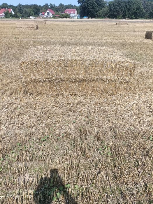 Słoma w dużej kostce