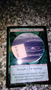 Ani Mayhem: Spring of life. Strength & Survival. Karta do gry 1995