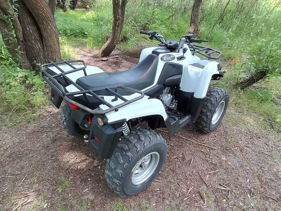 Access Triton IRS Hom L7E Quad TGB Kymco Aeon Dinli Linhai Goes Sym