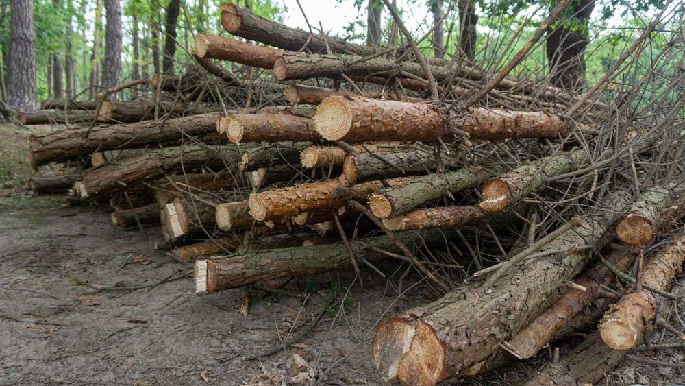 Rębak walcowy REMET RP-200 super === cena brutto 26999===