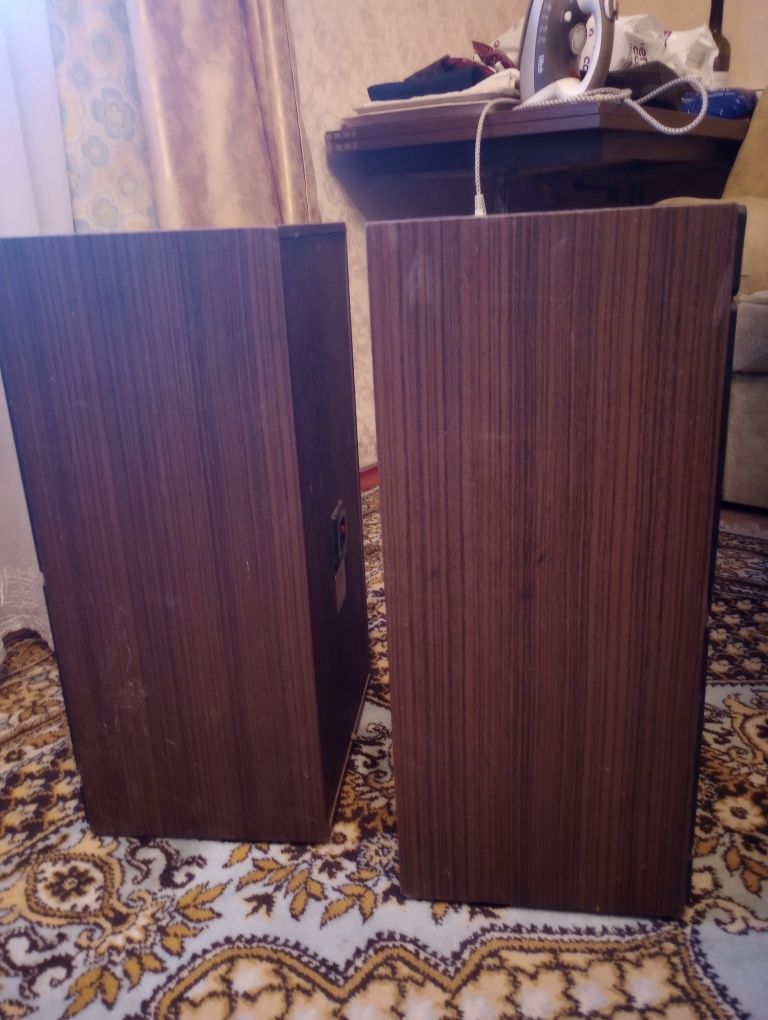Акустика радиотехника S 50 В
