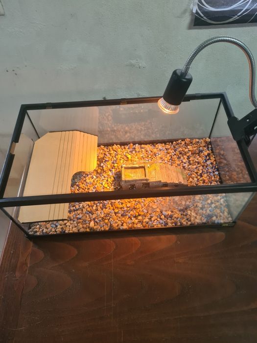 Aquário de tartaruga