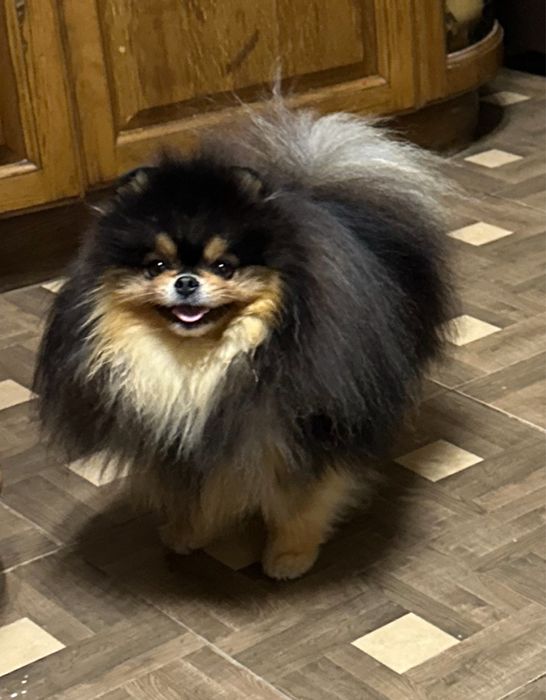 Супер красень чекае дам