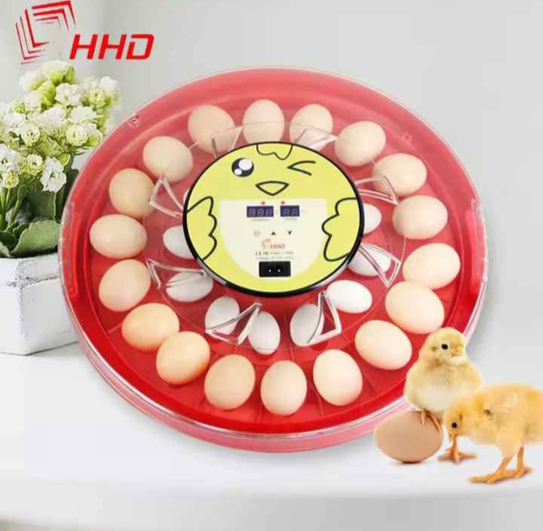 Chocadeiras Automáticas - 30 ovos